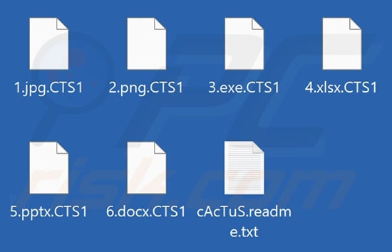 Capture d'écran de fichiers chiffrés par le ransomware Cactus, via PCRisk