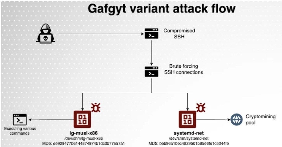 Flux d’attaque visuel de la variante du malware de botnet Gafgyt