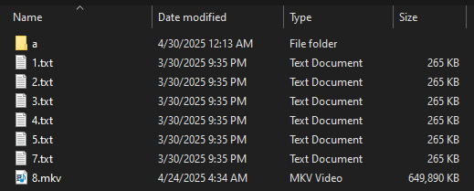 Fichiers avant leur destruction par le wiper du ransomware Anubis, via Trend Micro